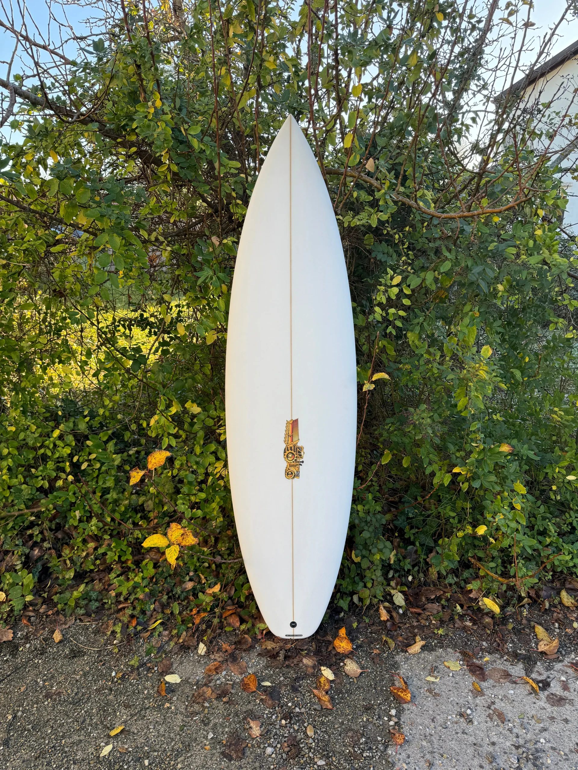 Js Golden Child easy rider 6'0 (29.6L)