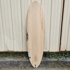 Aloha Fun Division Small Ecoskin 6'0 (37L)